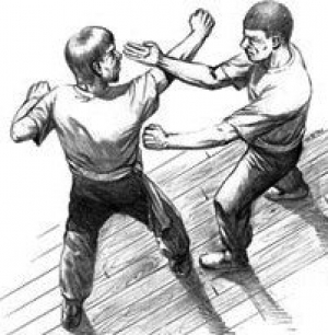 gallery/wingchun dessin